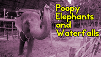 Poopy Elephants and Waterfalls – Thailand thumbnail