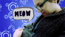 Getting a Pet in Korea – Bringing Maki Home thumbnail