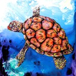 “Turtle Season” thumbnail