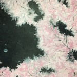 “Cherry Blossom Date” – Acrylic on Canvas thumbnail